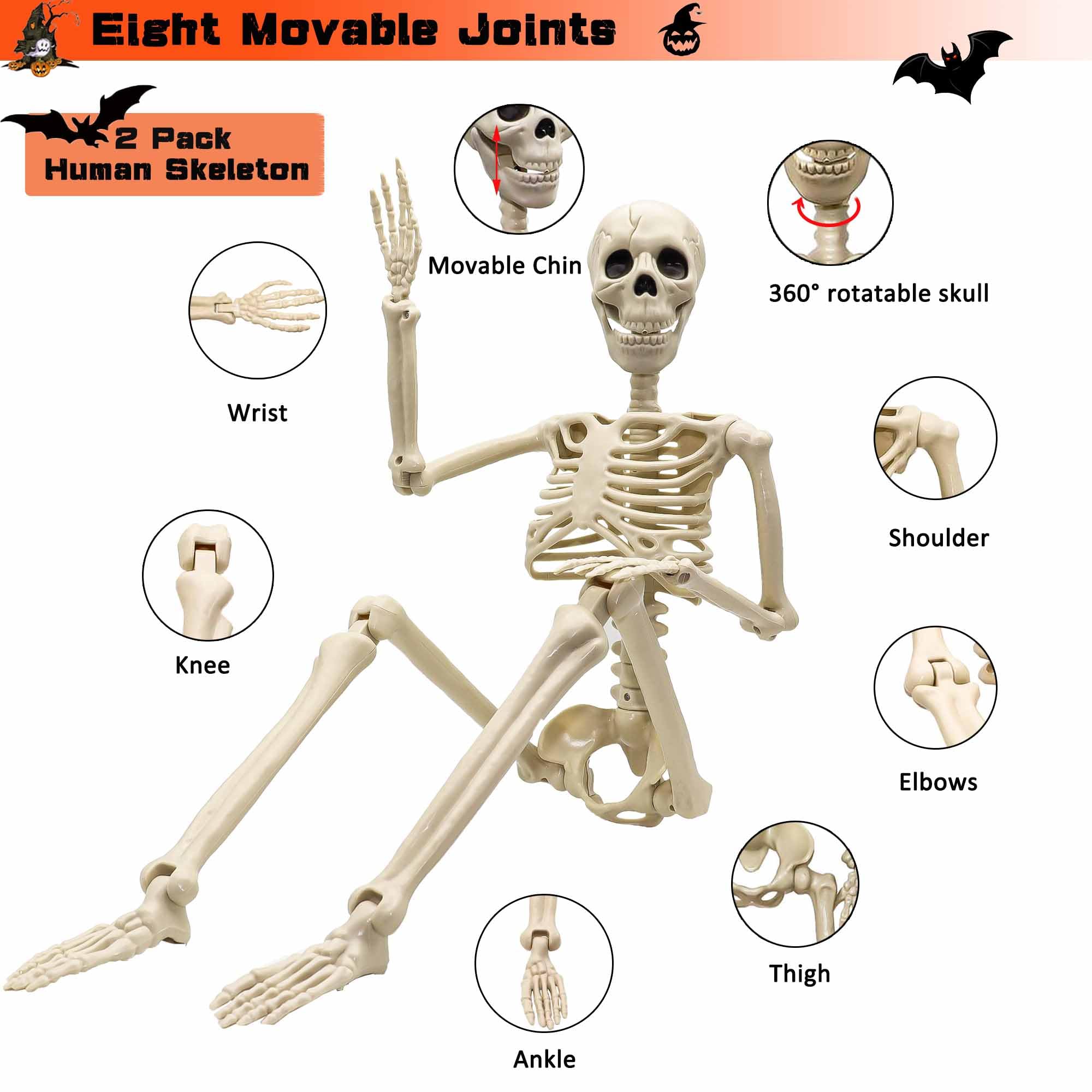 2 Pack 36"Halloween Skeleton - 3 ft Life Size Human Skeleton with Full Body Posable Joints Plastic Skeleton for Halloween Skeletons Decor Yard Patio Lawn Garden Skeleton Props Spooky Party Decoration - Halloween Happy