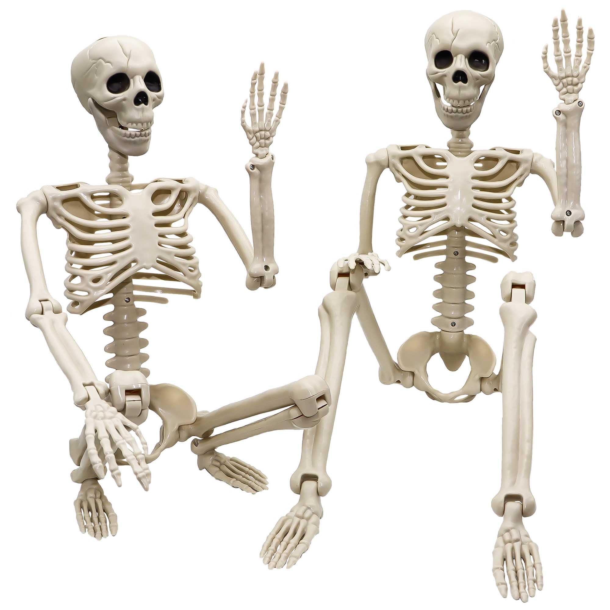 2 Pack 36"Halloween Skeleton - 3 ft Life Size Human Skeleton with Full Body Posable Joints Plastic Skeleton for Halloween Skeletons Decor Yard Patio Lawn Garden Skeleton Props Spooky Party Decoration - Halloween Happy