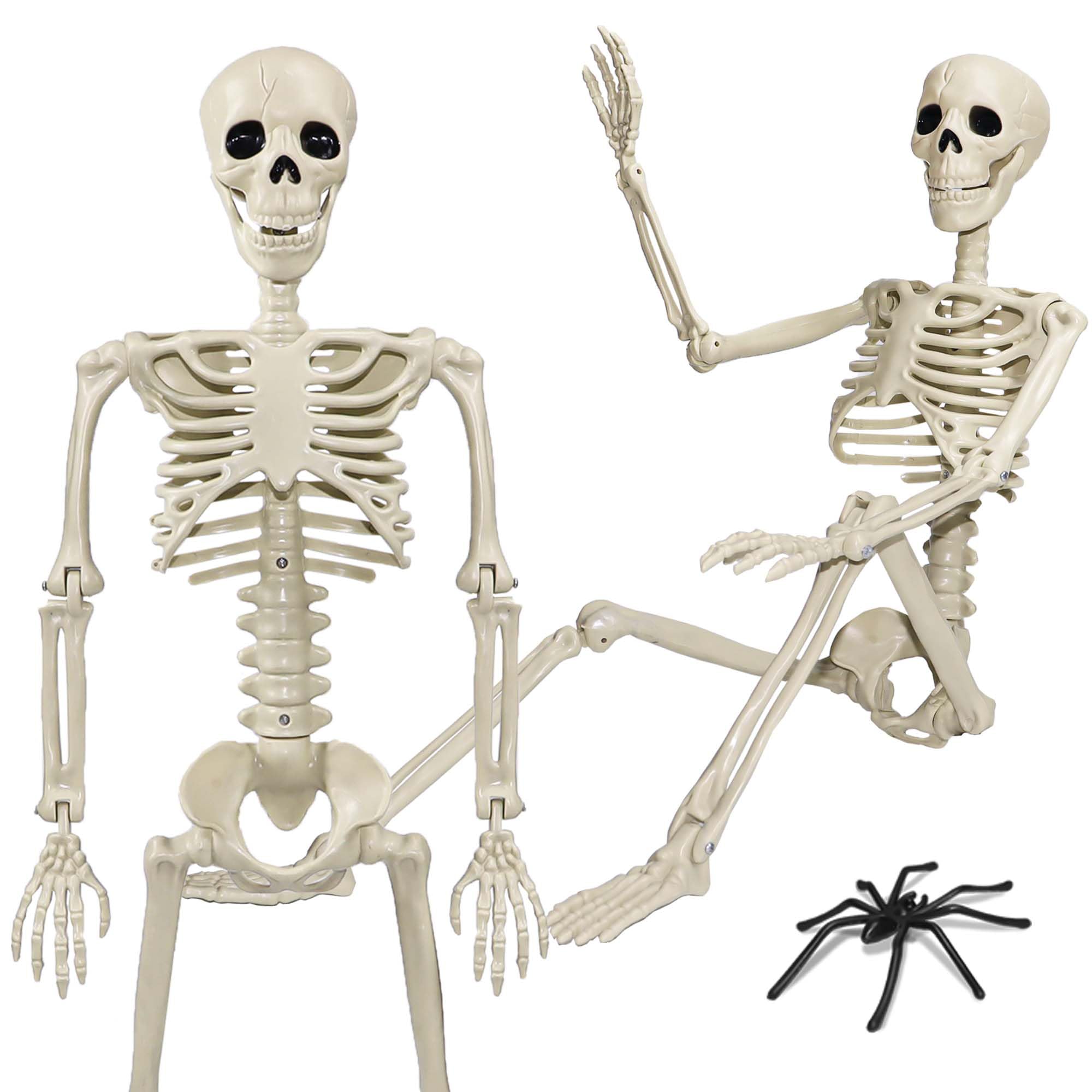 2 Pack 36"Halloween Skeleton - 3 ft Life Size Human Skeleton with Full Body Posable Joints Plastic Skeleton for Halloween Skeletons Decor Yard Patio Lawn Garden Skeleton Props Spooky Party Decoration - Halloween Happy